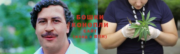 mdpv Новозыбков