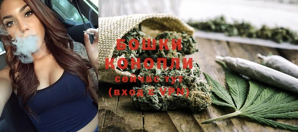 mdpv Новозыбков