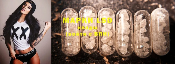 mdpv Новозыбков