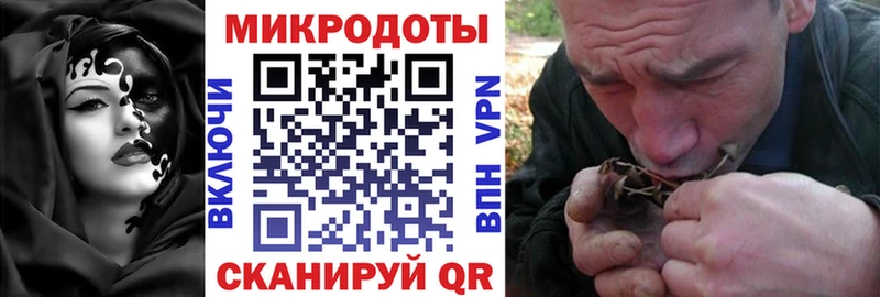 Псилоцибиновые грибы ЛСД  купить   blacksprut tor  площадка формула  Приморско-Ахтарск 