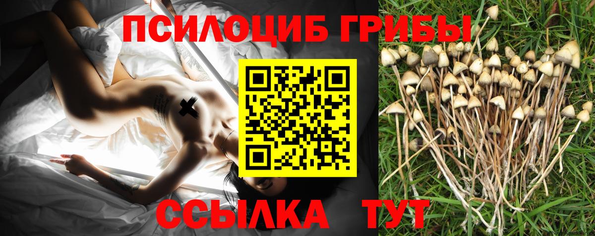 Галлюциногенные грибы Magic Shrooms Приморско-Ахтарск