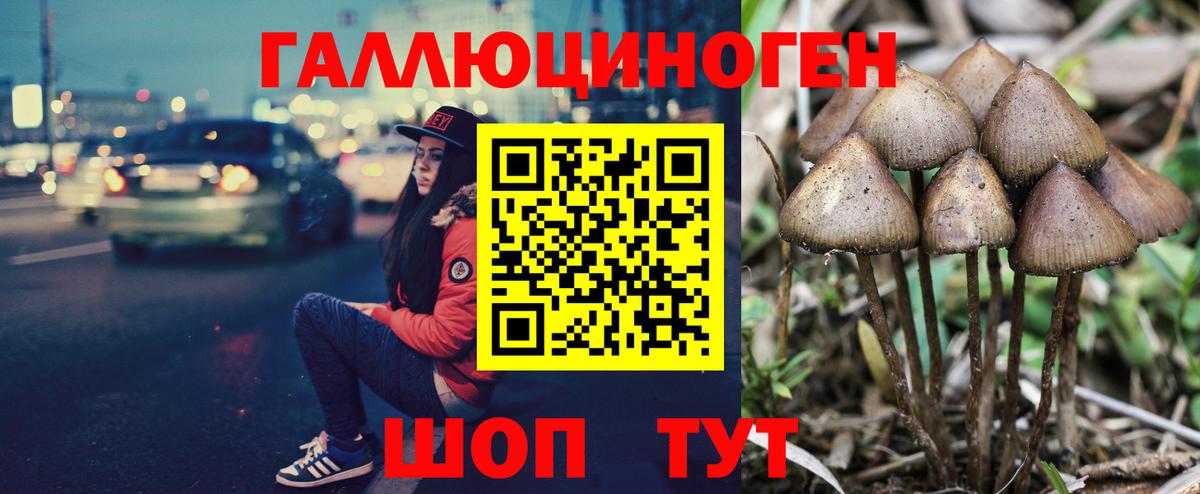 Приморско-Ахтарск  Галлюциногенные грибы мухоморы  Вход с VPN 